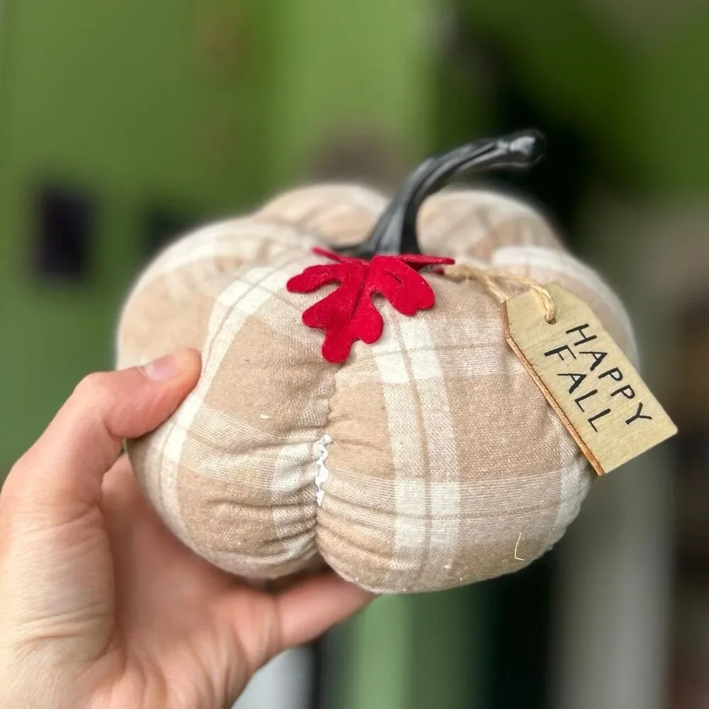Plush Cream Plaid Red Maple Leaf Accented Pumpkin Fall Home Accent